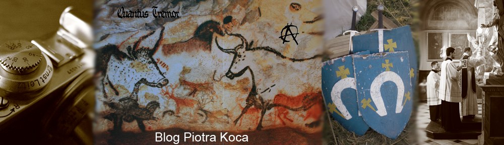Blog Piotra Koca