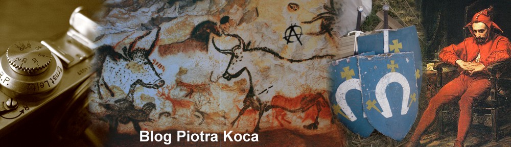 Blog Piotra Koca